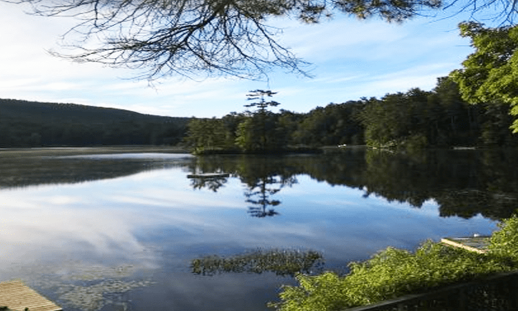 Lake Weed Control Solutions Research Studies | Lake Bottom Blanket LAKE luzerne